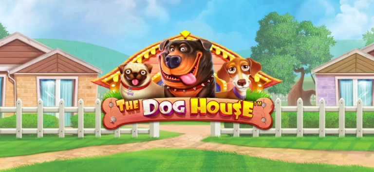 the dog house
